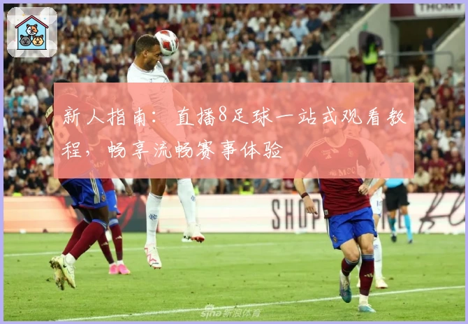 新人指南：直播8足球一站式观看教程，畅享流畅赛事体验